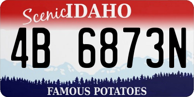 ID license plate 4B6873N