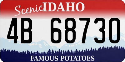 ID license plate 4B6873O