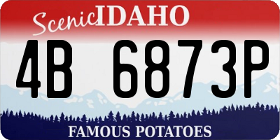 ID license plate 4B6873P