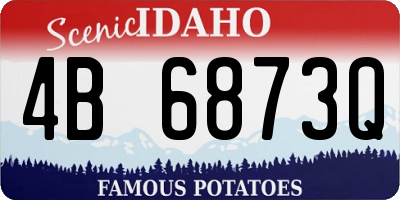 ID license plate 4B6873Q