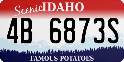 ID license plate 4B6873S
