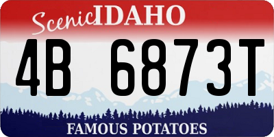 ID license plate 4B6873T