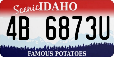 ID license plate 4B6873U