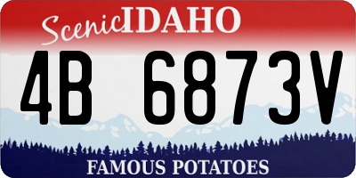 ID license plate 4B6873V