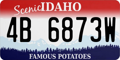 ID license plate 4B6873W