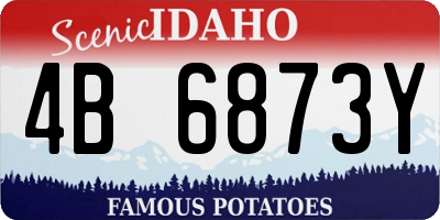 ID license plate 4B6873Y