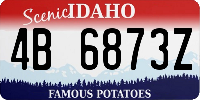 ID license plate 4B6873Z