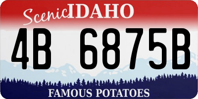 ID license plate 4B6875B