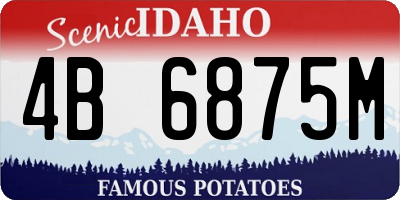 ID license plate 4B6875M