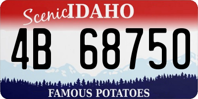ID license plate 4B6875O