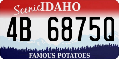 ID license plate 4B6875Q
