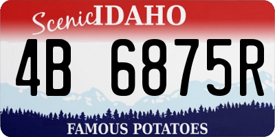 ID license plate 4B6875R