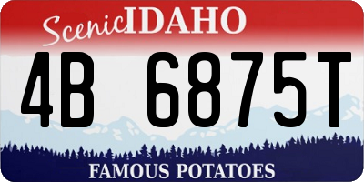ID license plate 4B6875T