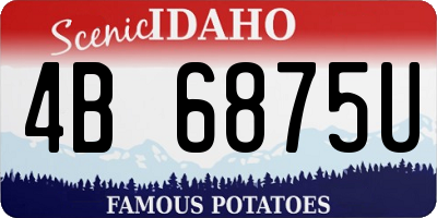 ID license plate 4B6875U