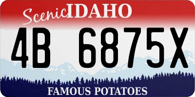 ID license plate 4B6875X