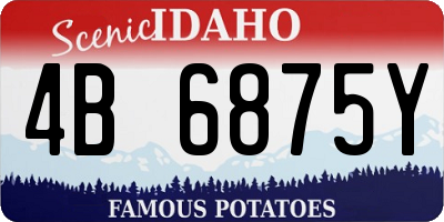 ID license plate 4B6875Y