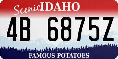 ID license plate 4B6875Z