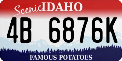 ID license plate 4B6876K