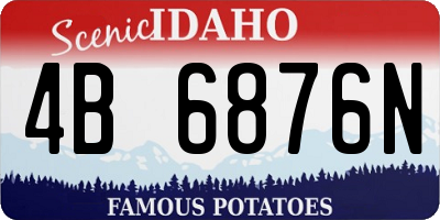 ID license plate 4B6876N