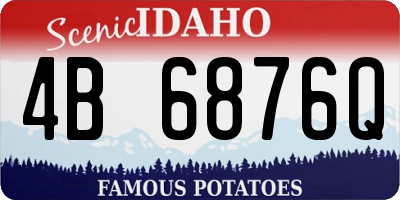 ID license plate 4B6876Q