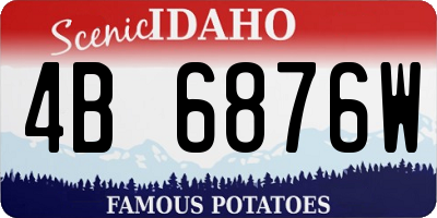 ID license plate 4B6876W