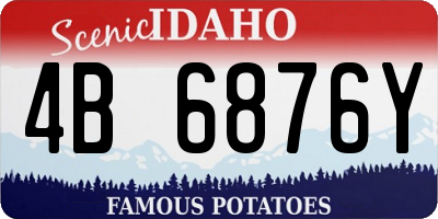 ID license plate 4B6876Y