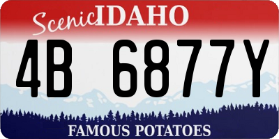 ID license plate 4B6877Y
