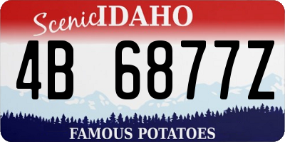 ID license plate 4B6877Z