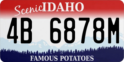 ID license plate 4B6878M