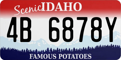 ID license plate 4B6878Y