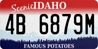 ID license plate 4B6879M
