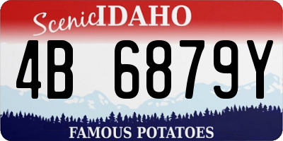 ID license plate 4B6879Y