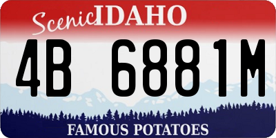 ID license plate 4B6881M