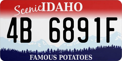 ID license plate 4B6891F