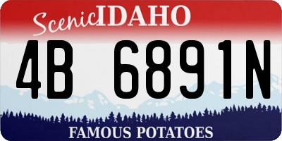 ID license plate 4B6891N