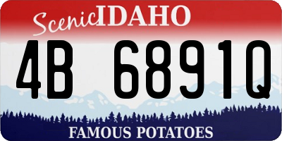 ID license plate 4B6891Q