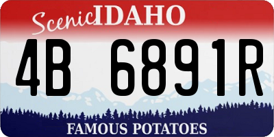 ID license plate 4B6891R