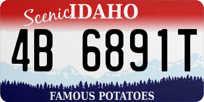 ID license plate 4B6891T