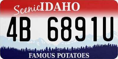 ID license plate 4B6891U
