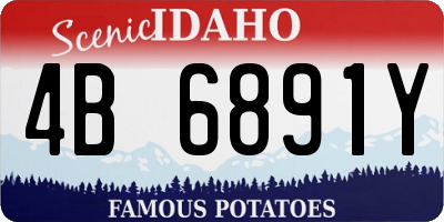 ID license plate 4B6891Y