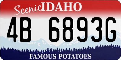 ID license plate 4B6893G