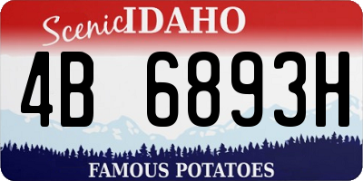 ID license plate 4B6893H