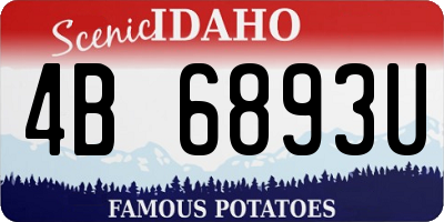 ID license plate 4B6893U