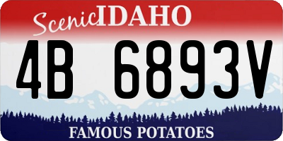 ID license plate 4B6893V