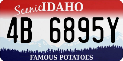 ID license plate 4B6895Y