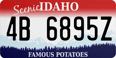 ID license plate 4B6895Z