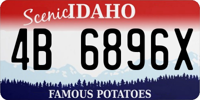 ID license plate 4B6896X