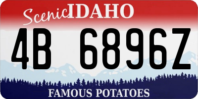 ID license plate 4B6896Z