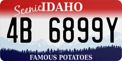 ID license plate 4B6899Y