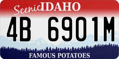 ID license plate 4B6901M